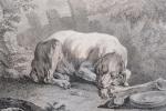 OUDRY Jean-Baptiste (d'après). "Phylax, chien de chasse", belle gravure sur...
