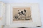 Exposition canine du bois de Boulogne. Mai 1863. Collection du Journal...