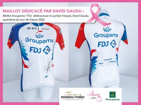 Maillot groupama fdj online 2020