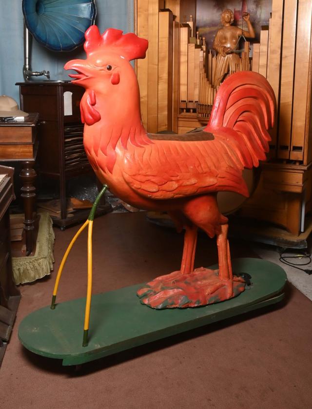 Bild