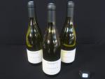 3 bouteilles Ladoix 2019 Pierre Ravaut à Ladoix-Serrigny, blanc, lot...