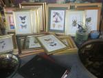 Ensemble 25 cadres décoratifs dont reproductions gravures modernes, divers cadres...