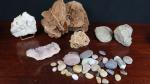Lot de minéraux et fossiles (roses des sables, géode, améthyste,...